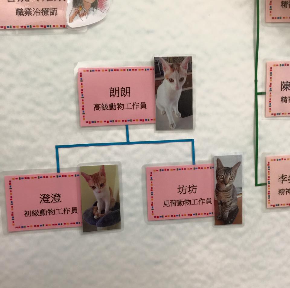 圖片來源:Gary Charm