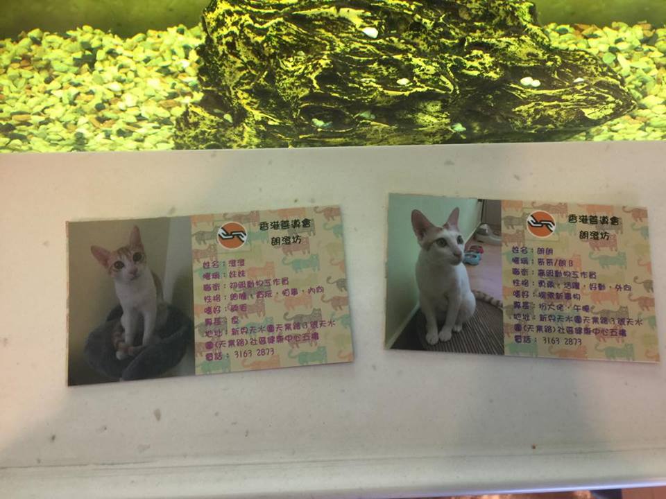 圖片來源:Gary Charm