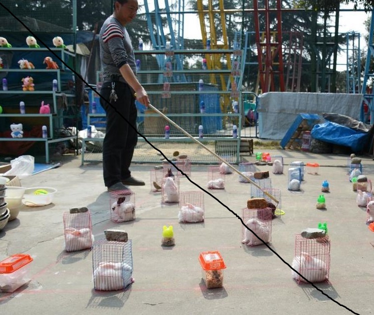 圖片來源：騰訊新聞