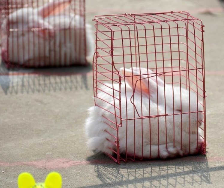 圖片來源：騰訊新聞