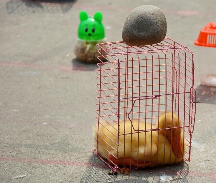 圖片來源：騰訊新聞