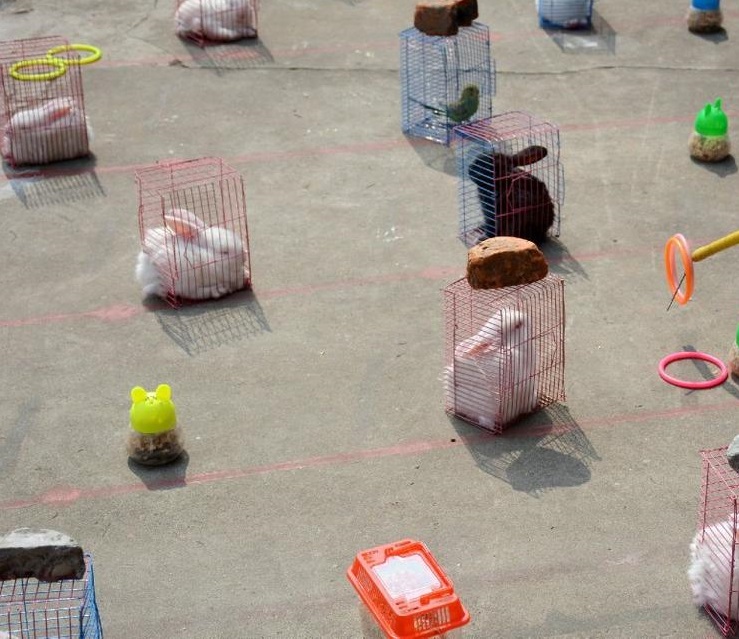 圖片來源：騰訊新聞