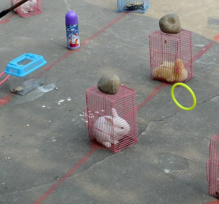 圖片來源：騰訊新聞