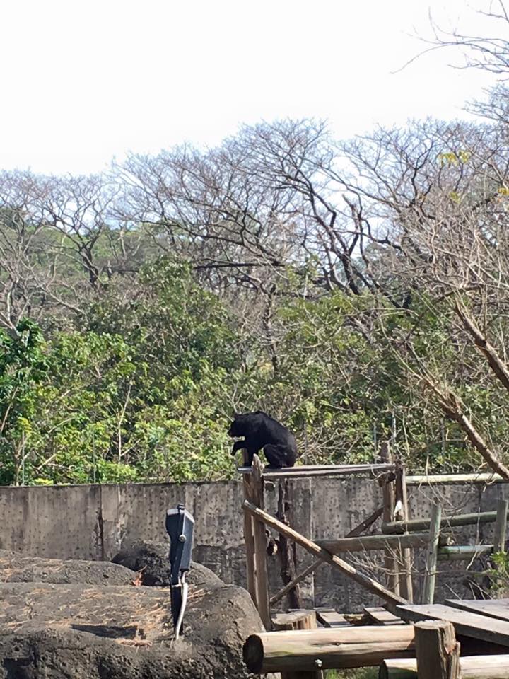 圖片來源:Atthedawn/PTT