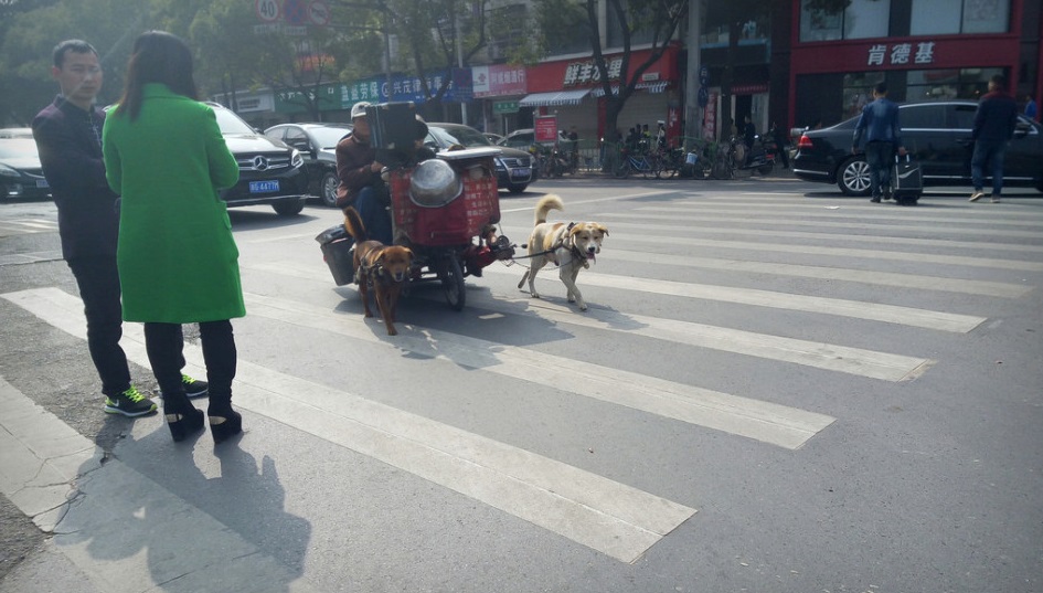 圖片來源:新浪網