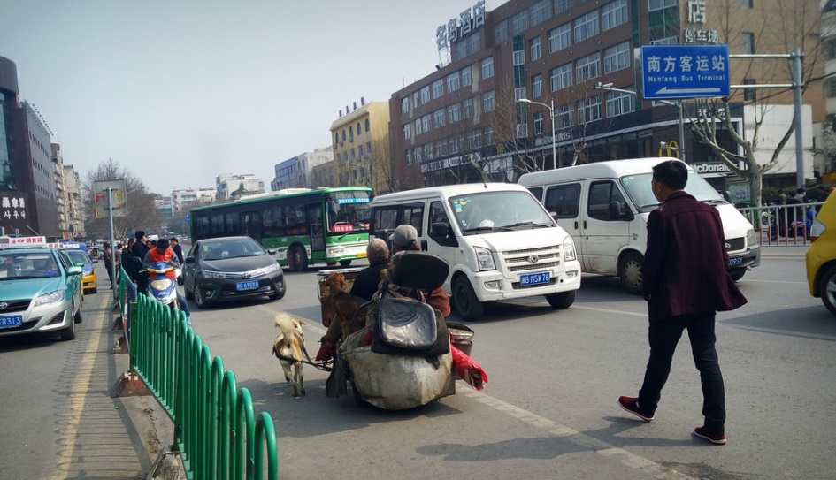 圖片來源:新浪網