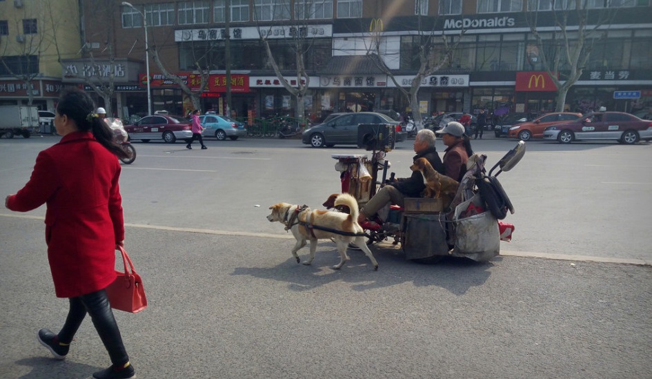 圖片來源:新浪網