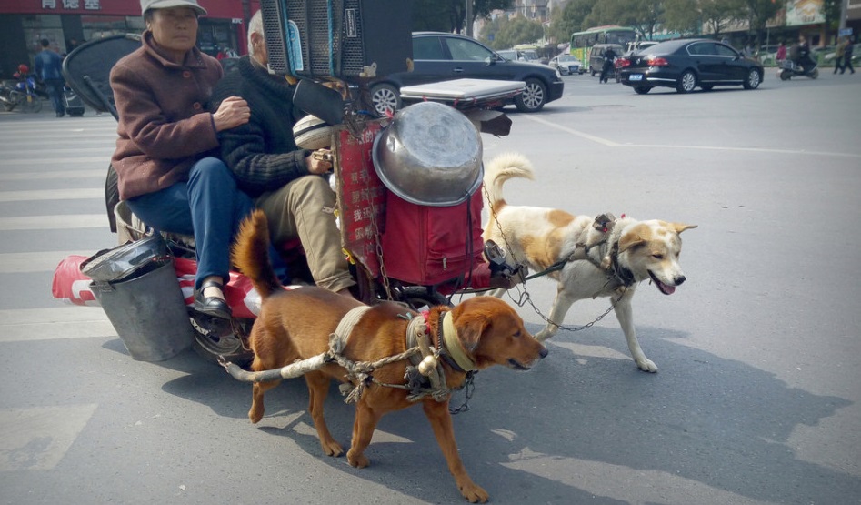 圖片來源:新浪網