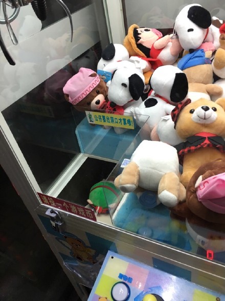 圖片來源：一隻學霸/微博