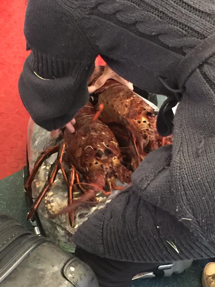 圖片來源:Lee Ming Fai/香港突發事故報料區