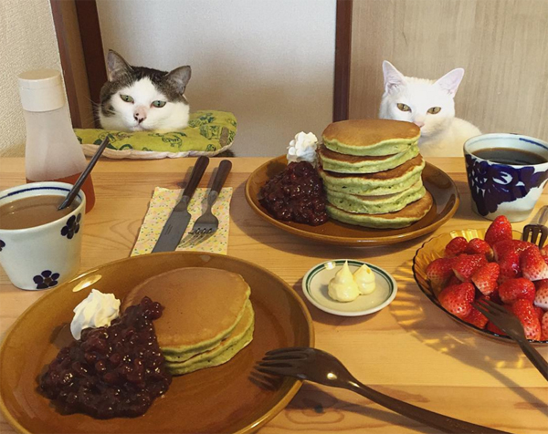 圖片來源：naomiuno/instagram 