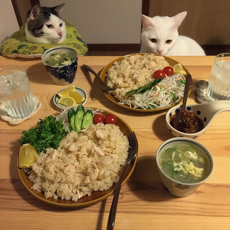 圖片來源：naomiuno/instagram 