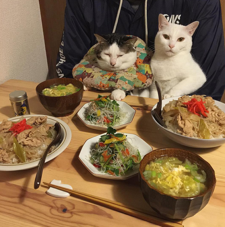 圖片來源：naomiuno/instagram 