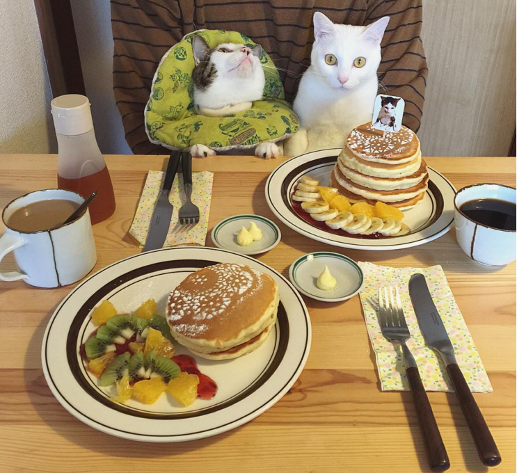 圖片來源：naomiuno/instagram 