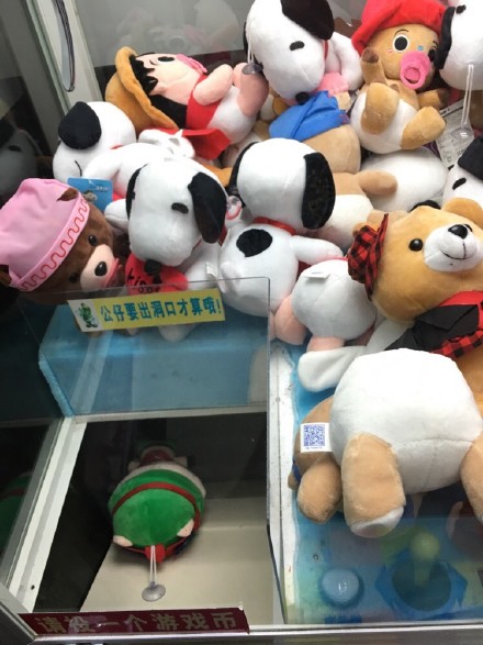 圖片來源：一隻學霸／微博