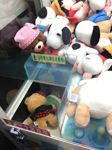 圖片來源：一隻學霸／微博