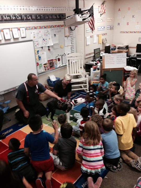 圖片來源：The Dodo