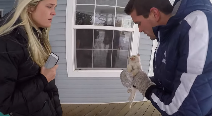 圖片來源:frozen kitten