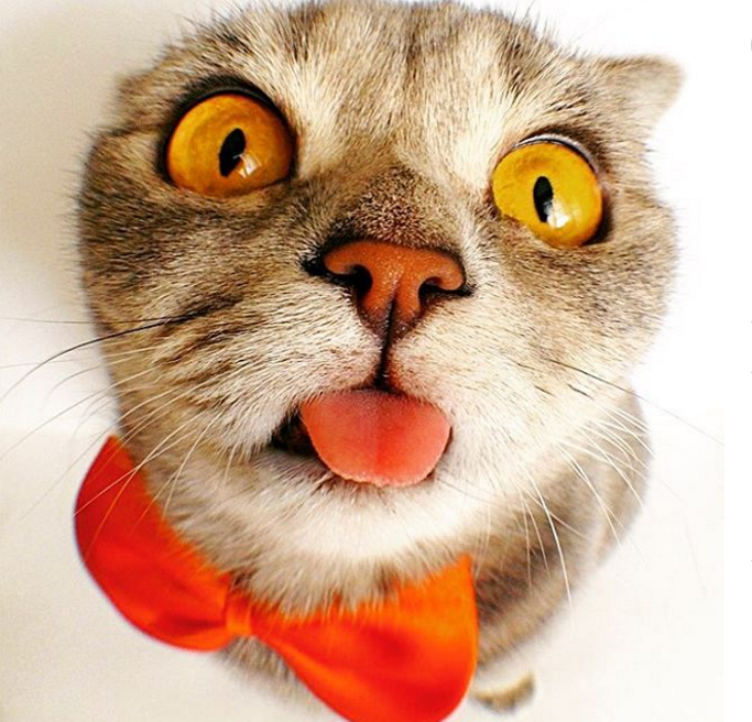 圖片來源:melissa_scottish/instagram