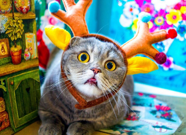 圖片來源:melissa_scottish/instagram