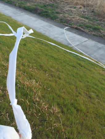 圖片來源:moutenaisumaru/twitter