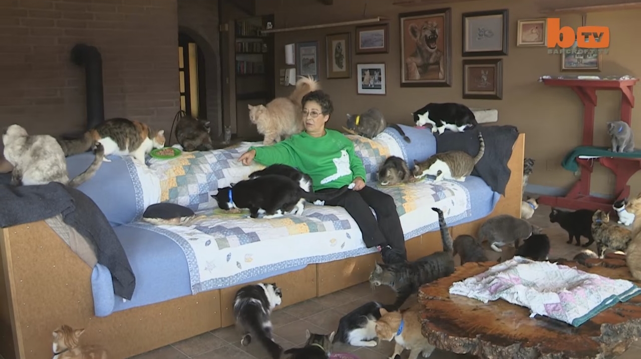 圖片來源:Barcroft TV