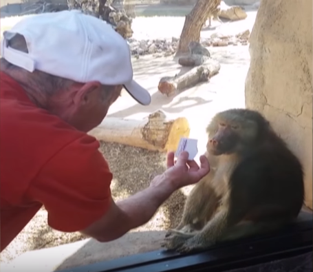 圖片來源:AFVMobile