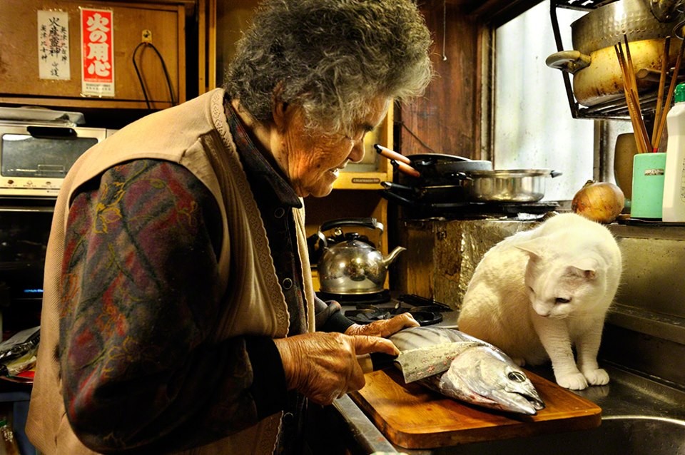 圖片來源：伊原美代子