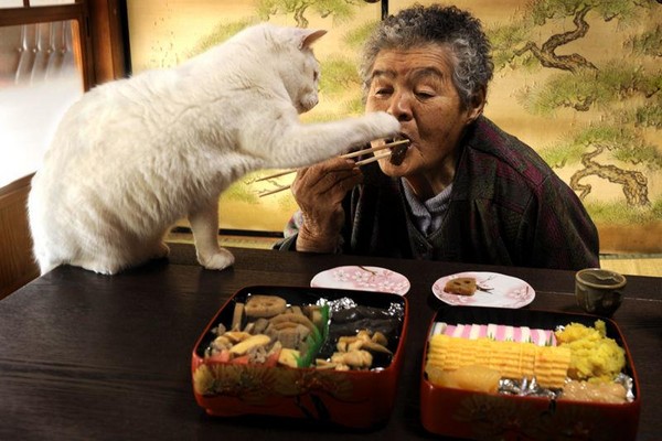 圖片來源：伊原美代子