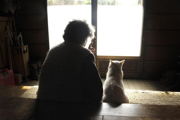 圖片來源：伊原美代子