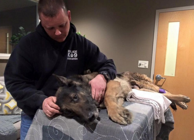 圖片來源：abcnews