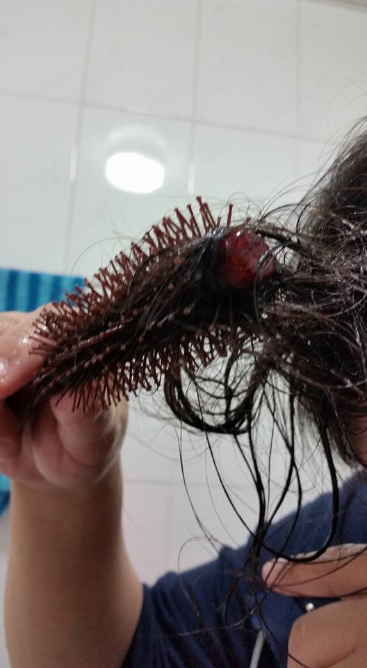 圖片來源:鄭雅貞/●【爆廢公社】●