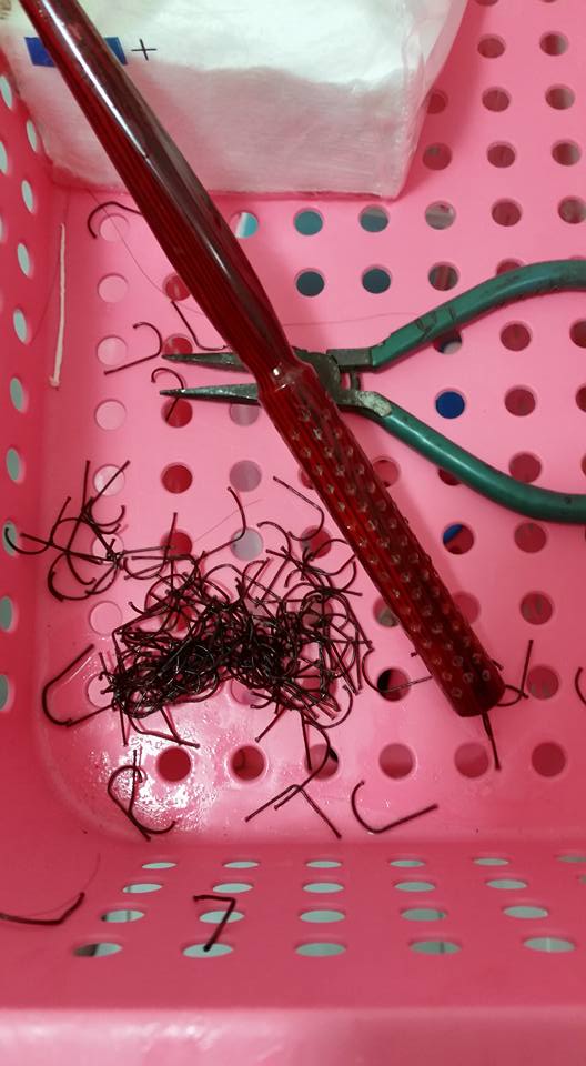 圖片來源:鄭雅貞/●【爆廢公社】●