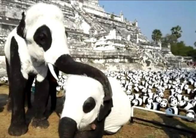 圖片來源：中時電子報