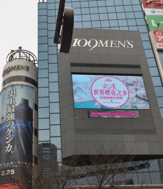 圖片來源:油潑辣子愛抹茶