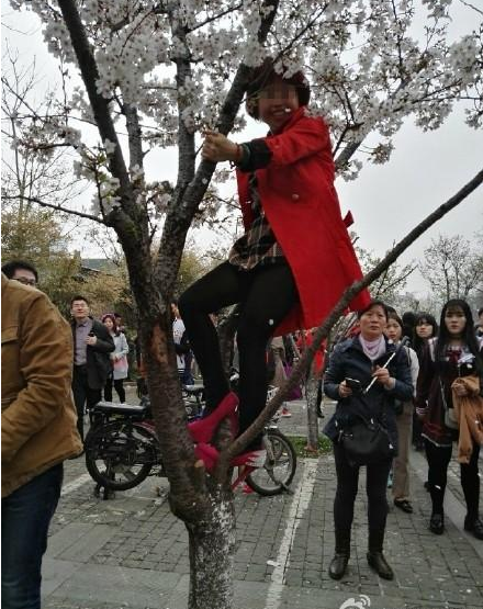 圖片來源:中新網