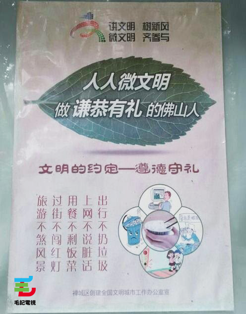 圖片來源：毛毛