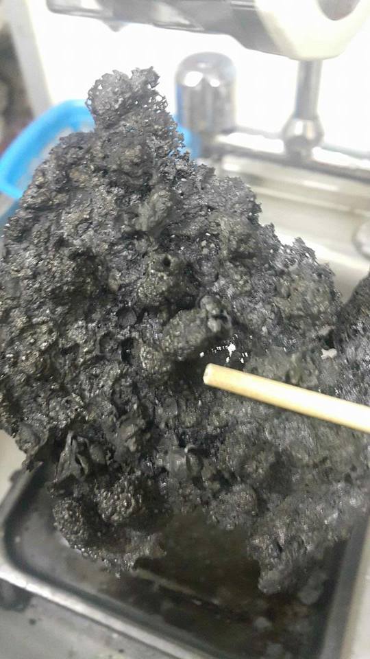 讀者來圖：Kristin Liu