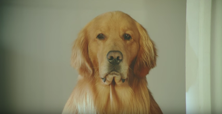 圖片來源：Youtube截圖