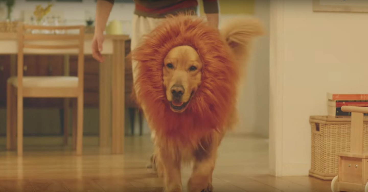 圖片來源：Youtube截圖