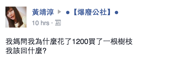 圖片來源：黃靖淳‎／●【爆廢公社】●