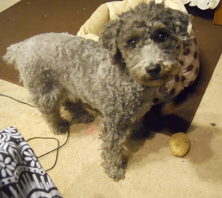 圖片來源：Drovie／Tumblr