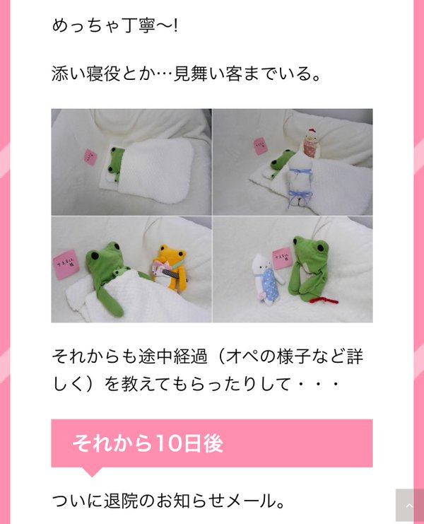 圖片來源: anzu125/twitter