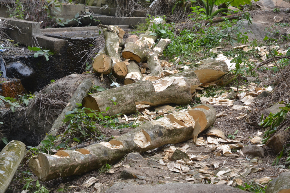 圖片來源：大公報（資料圖片）
