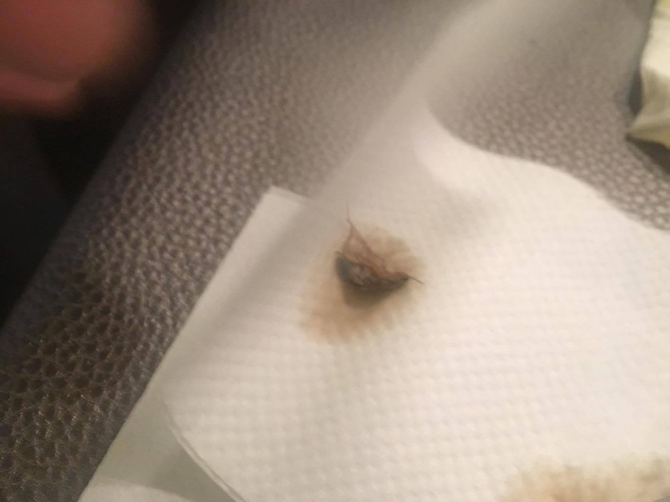 圖片來源:Momo's friend not Momo