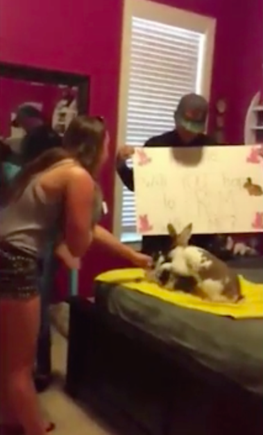 圖片來源:Daily Mail