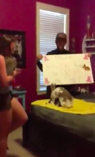 圖片來源:Daily Mail