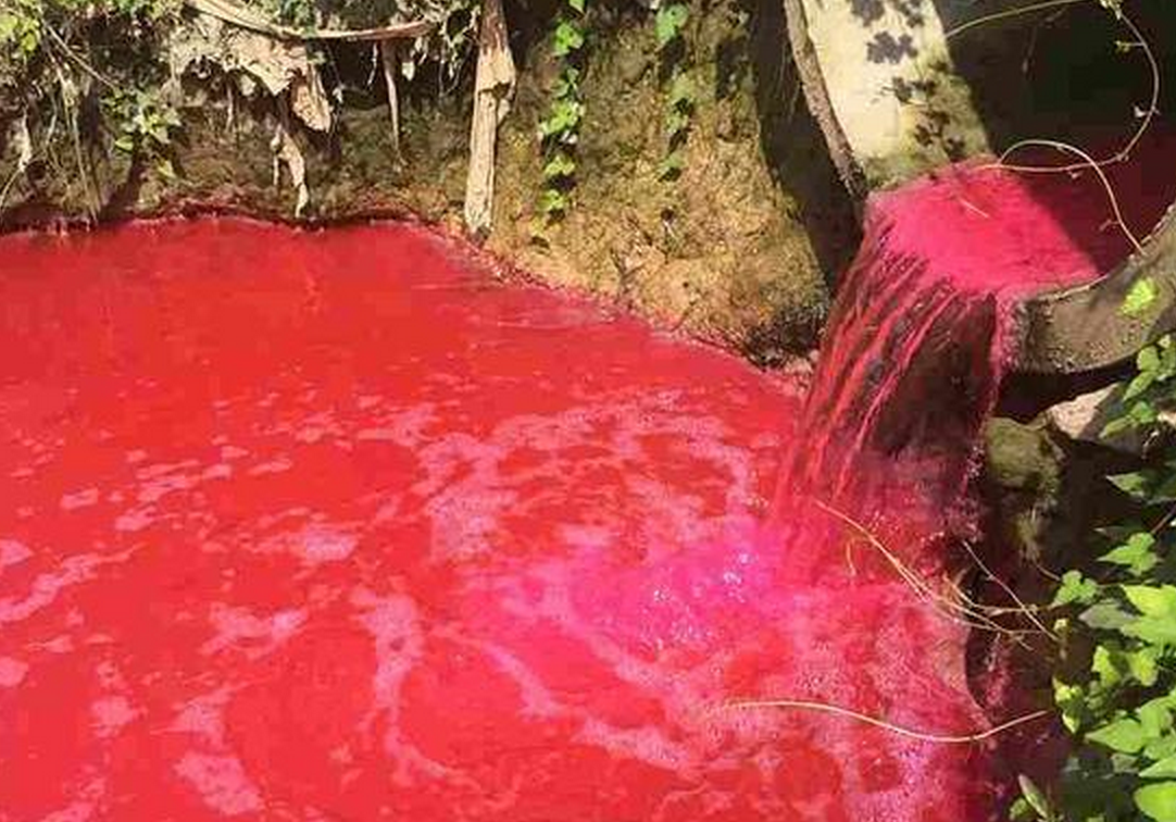 圖片來源：新浪廣東