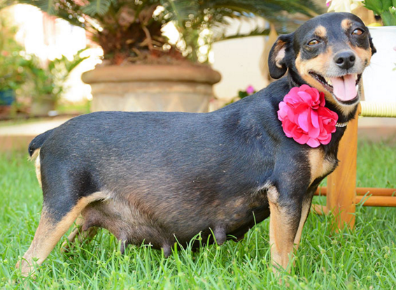 圖片來源:Anna Fotografia