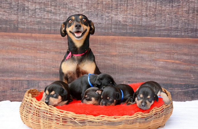 圖片來源:Anna Fotografia